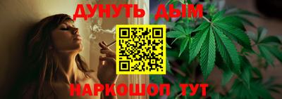 шишки Новозыбков