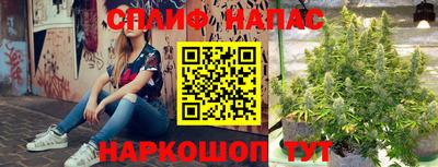 мдпв Новодвинск