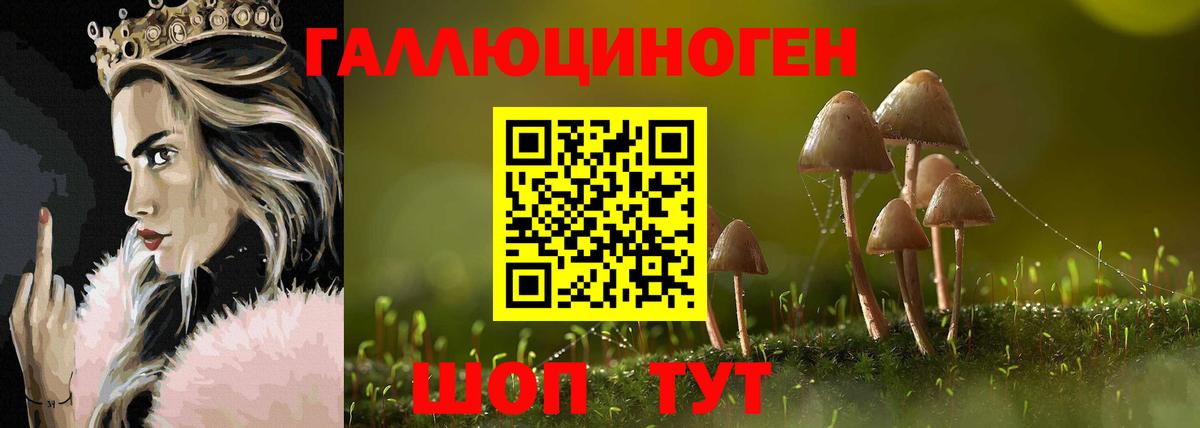 Галлюциногенные грибы мухоморы Советская Гавань